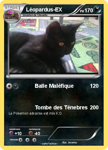 Pokemon Léopardus-EX