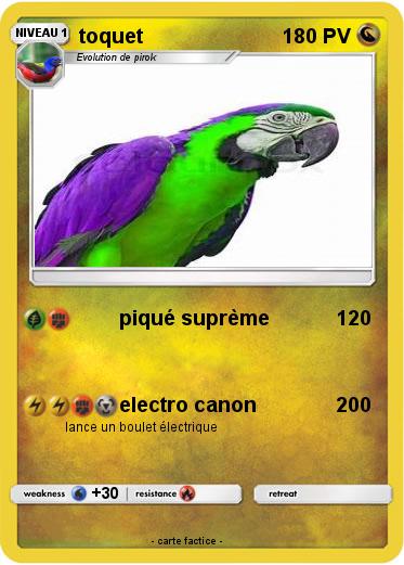 Pokemon toquet