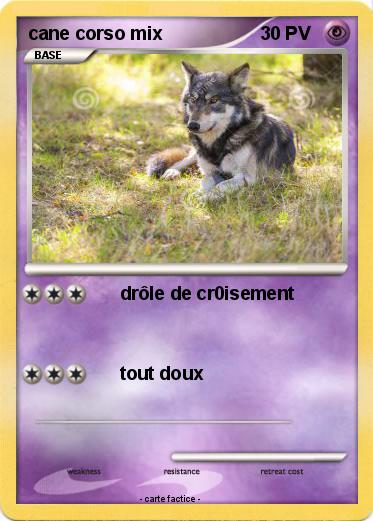 Pokemon cane corso mix