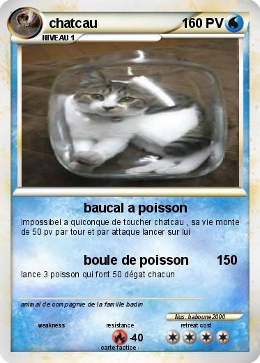 Pokemon chatcau