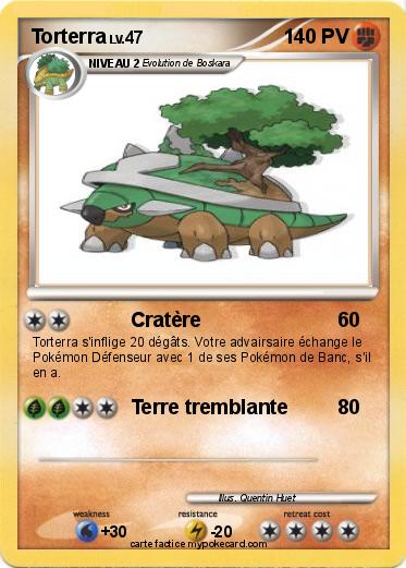 Pokemon Torterra