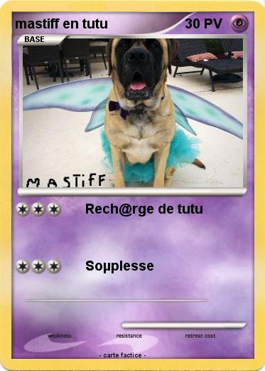Pokemon mastiff en tutu