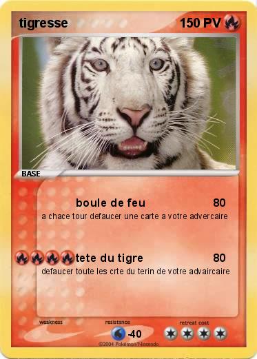 Pokemon tigresse