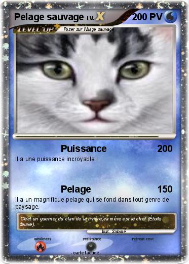 Pokemon Pelage sauvage