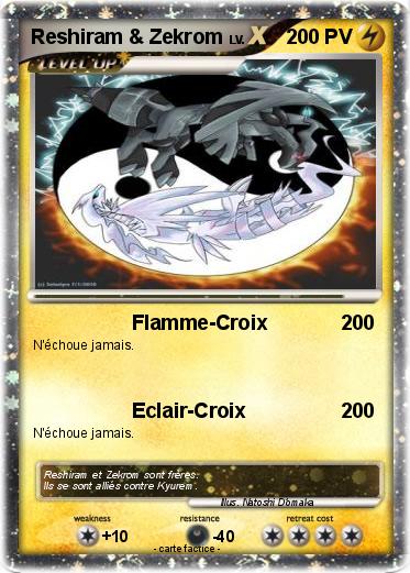 Pokemon Reshiram & Zekrom