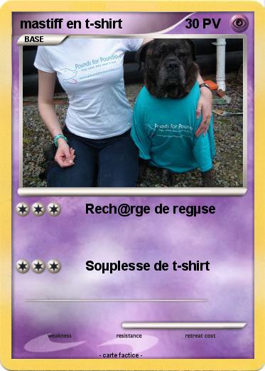 Pokemon mastiff en t-shirt