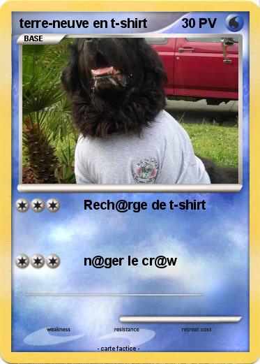 Pokemon terre-neuve en t-shirt