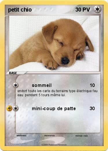 Pokemon petit chio