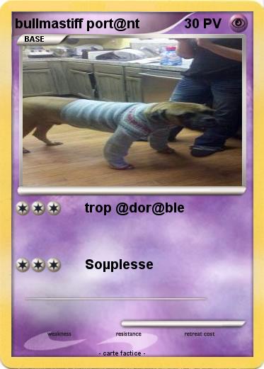 Pokemon bullmastiff port@nt
