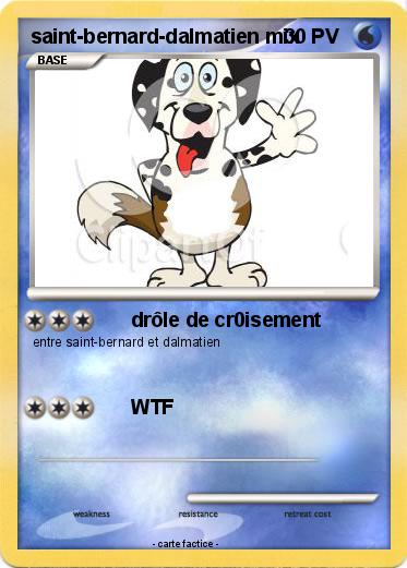Pokemon saint-bernard-dalmatien mix