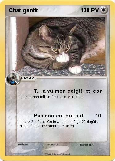 Pokemon Chat gentit