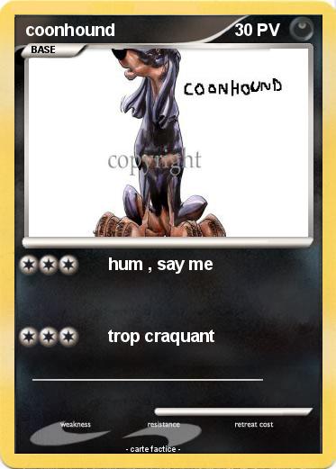 Pokemon coonhound