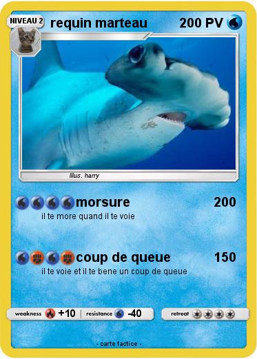 Pokemon requin marteau