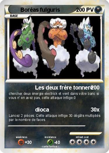 Pokemon Boréas fulguris