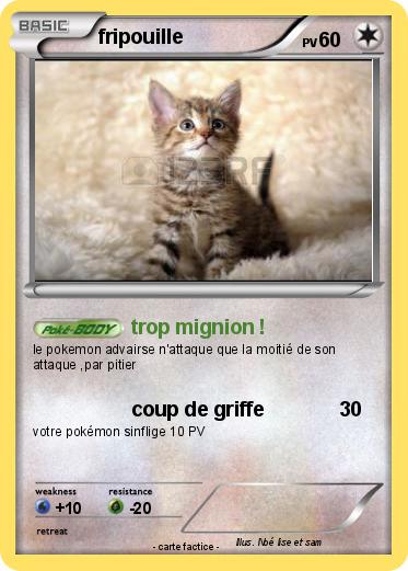Pokemon fripouille