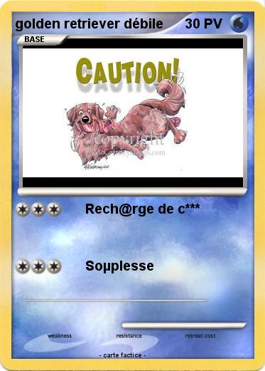 Pokemon golden retriever débile
