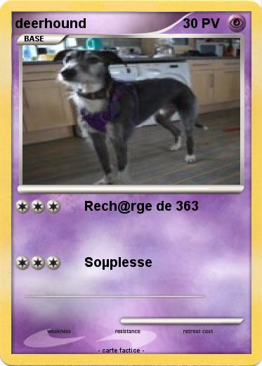 Pokemon deerhound