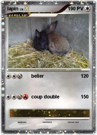 Pokemon lapin
