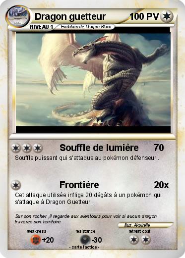 Pokemon Dragon guetteur