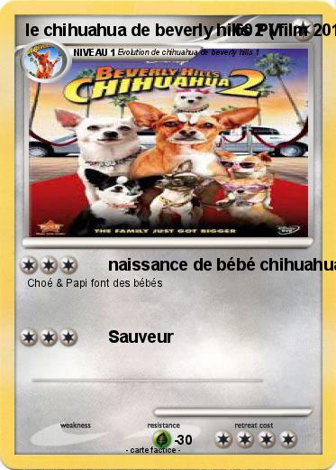 Pokemon le chihuahua de beverly hills 2 ( film 2011 )