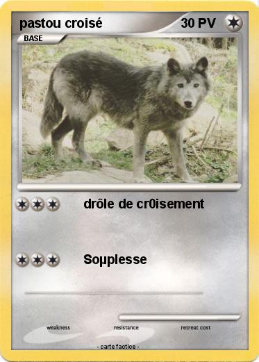 Pokemon pastou croisé