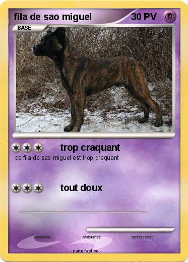 Pokemon fila de sao miguel