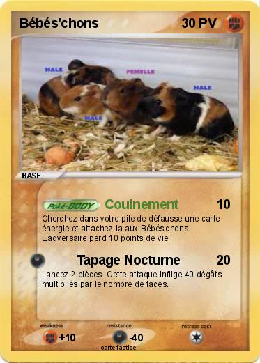 Pokemon Bébés'chons
