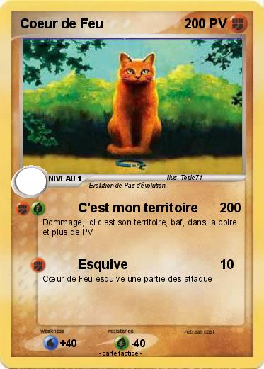 Pokemon Coeur de Feu