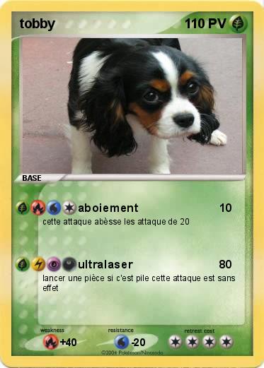 Pokemon tobby
