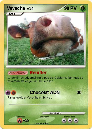 Pokemon Vavache