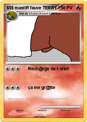 Pokemon $$$ mastiff fauve TERRY !!!