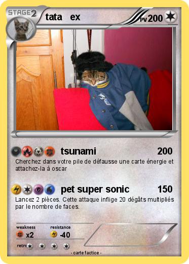 Pokemon tata   ex