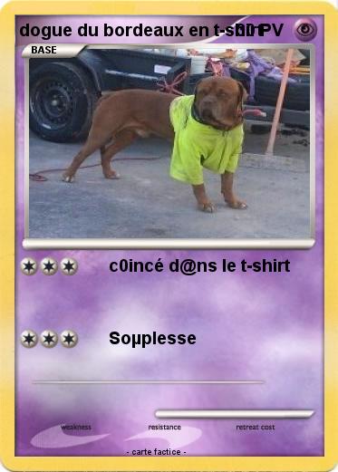 Pokemon dogue du bordeaux en t-shirt
