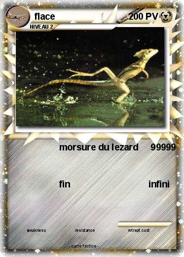 Pokemon flace