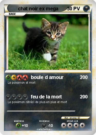Pokemon chat noir ex mega