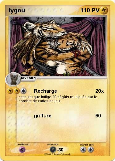 Pokemon tygou
