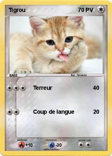 Pokemon Tigrou