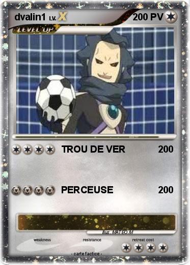 Pokemon dvalin1