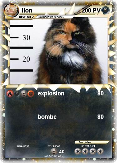 Pokemon lion