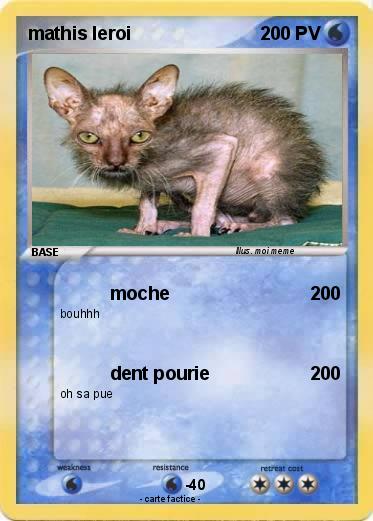 Pokemon mathis leroi