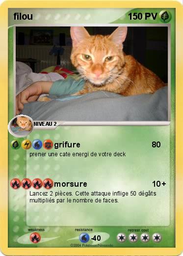 Pokemon filou