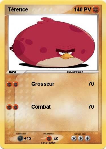 Pokemon Térence