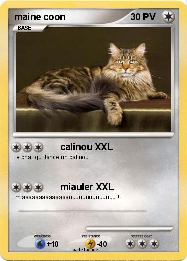 Pokemon maine coon