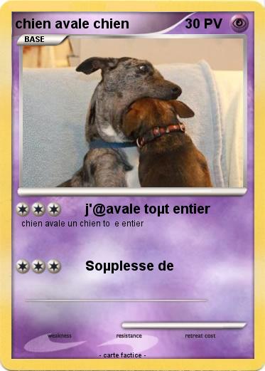 Pokemon chien avale chien