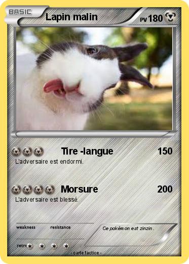 Pokemon Lapin malin