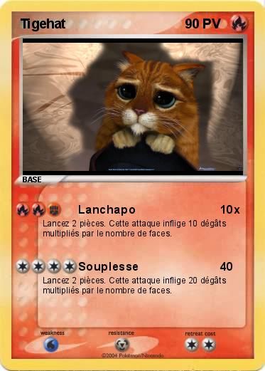 Pokemon Tigehat