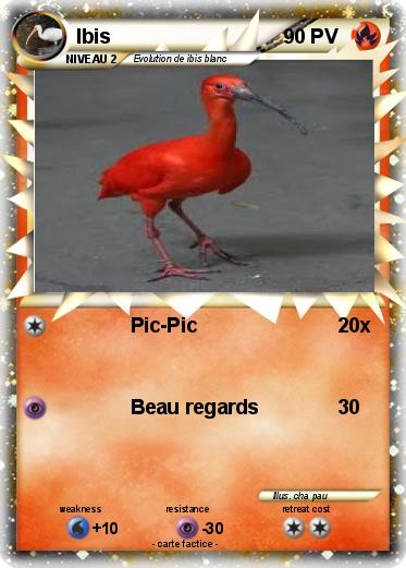 Pokemon Ibis