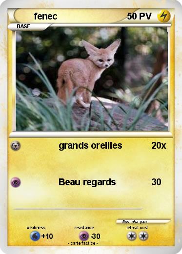 Pokemon fenec