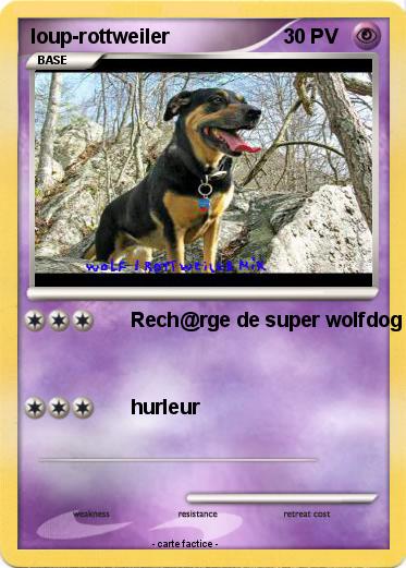 Pokemon loup-rottweiler