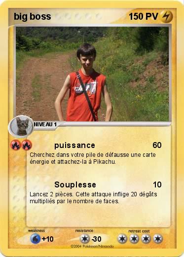 Pokemon big boss